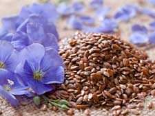 flaxseed225